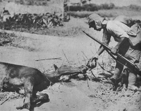 World War Ii In Pictures — Japanese Soldier Giving Water