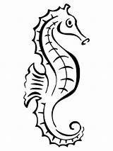 Seahorse Coloring Outline Pages Tattoo Line Drawing Static Print Printable Tattooimages Biz Fish Recommended Color Clipartmag sketch template