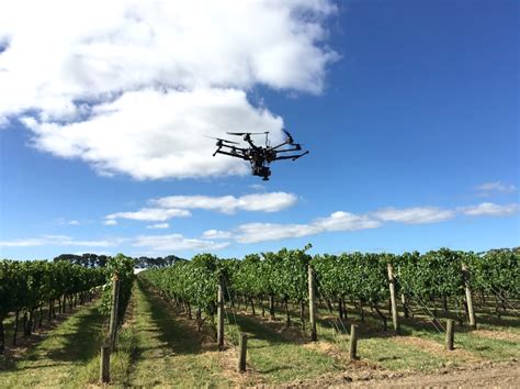 high tech drones target australian vineyards   stop pests