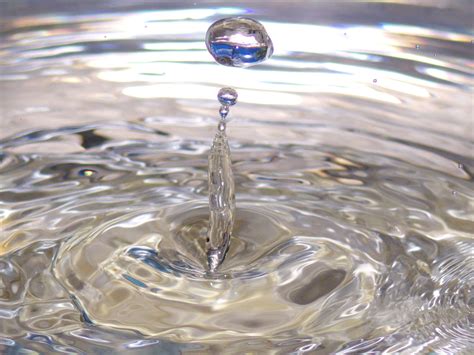la fondamentale importanza dellacqua  lessere umano wateronline