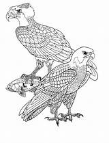 Vogels Vogel Roofvogels Colorat Oiseau Pasari Pages Burung Mewarnai Coloriages Planse Colorare Malvorlagen Animasi Bird Dieren Bewegende Animaties Bergerak Kleuren sketch template