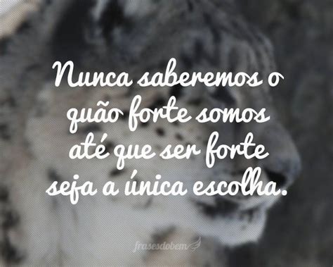 frases fortes