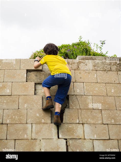 humpty dumpty wall  res stock photography  images alamy