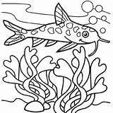 Seaweed Cliparts sketch template