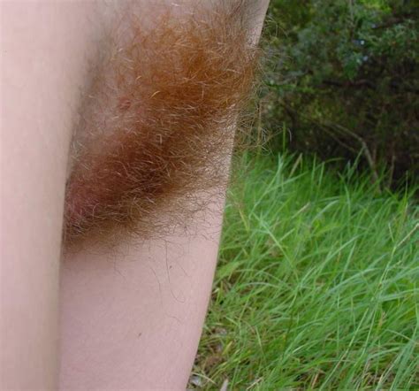 Gbrhwhp4 13  In Gallery Ginger Bush Redheads With