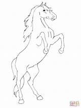 Horse Rearing Coloring Pages Printable Drawing Print Mustang Breyer Outline Friesian Getcolorings Color Colori Supercoloring Paintingvalley Template Collection sketch template