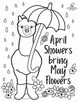 Showers Alpaca sketch template