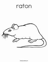Rat Coloring Mouse Worksheet Letter Raton Cat Sheet Fat Choy Hay Gung Porcupine Pages Print Book Noodle Outline Twistynoodle Twisty sketch template