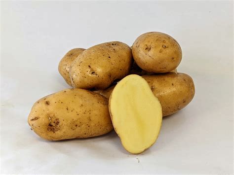 bintje late season potato potatoes onions  exotics
