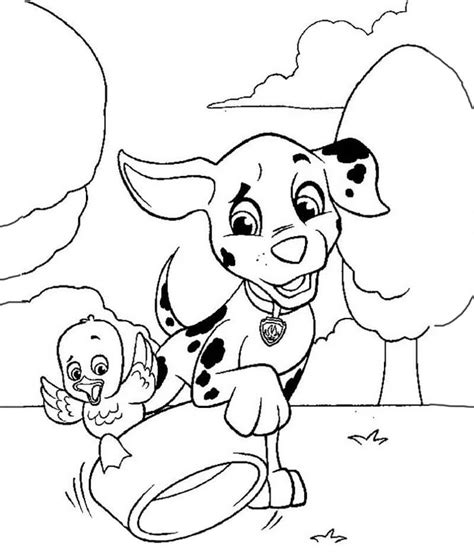 cute marshall paw patrol coloring page  printable coloring pages