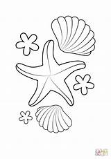 Starfish Coloring Pages Shells Printable Seestern Ausmalbilder Mermaid Muscheln Shell Print Sea Und Supercoloring Crafts Template Mandala Fish Drawing Kostenlose sketch template