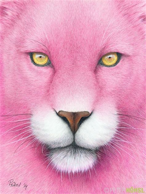 A Pink Panther A4 Colored Pencil Drawings And