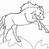 Horse Surfnetkids Coloring sketch template