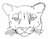 Cougar Coloring Pages Mountain Lion Easy Drawing Color Print Printable Animal Kids Panther Getcolorings Adults Dorable Getdrawings Library Clipart Popular sketch template