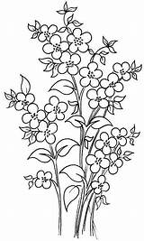 Ricamare Blossom Broderie Ricamo Gratuits Mano Disegno Botanical Mazzo Dzieci Rysunki Stylowi Motivi Disegnare Roses Mughetti Floreali Dodaj Swojej Grilles sketch template