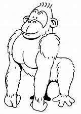 Monkeys Coloring Pages Kids Fun sketch template