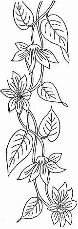 Vine Ingalls Flowering 1886 sketch template