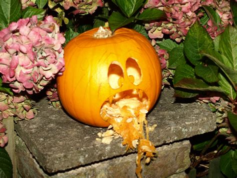 the world s best photos of pumpkin and vomit flickr hive mind