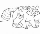 Coloring Raccoon Pages Kids Printable Racoon Family Raccoons Sheet Bestcoloringpagesforkids Sheets Animal Animals Getdrawings Adult Woodland Draw Printables Forest Library sketch template