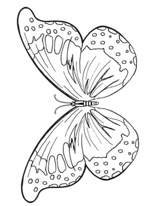 printable kids colouring pages butterfly wings butterfly