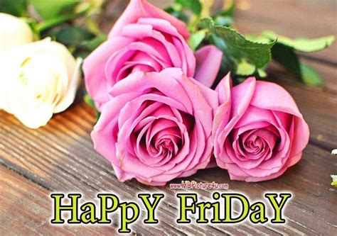 happy friday pictures images  pinterest happy friday