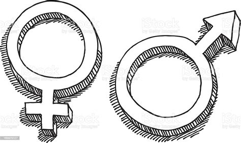 mulher desenho símbolo de sexo masculino vetor e ilustração royalty