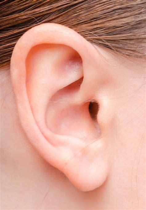 interesting facts  human ears