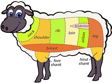 lamb diagram  parts