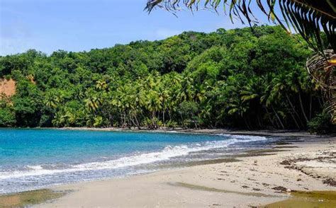 Beaches In Dominica You Will Love