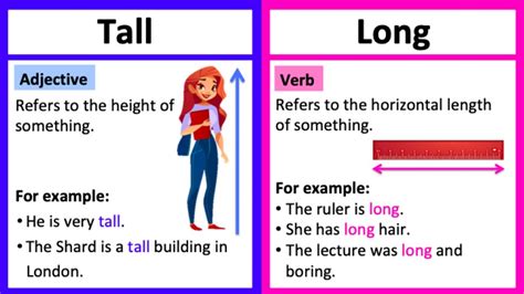 tall  long whats  difference learn  examples youtube