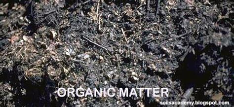 soils academy organic matter