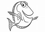 Dory Colorare Nemo Disegno Pesce Pesci Squalo Cartoni Marlin sketch template