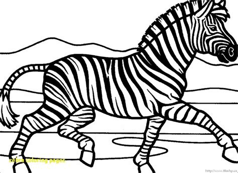 coloring page zebra   stripes printable zebrafish  pages