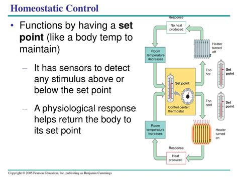 Ppt Chapter 40 Powerpoint Presentation Free Download