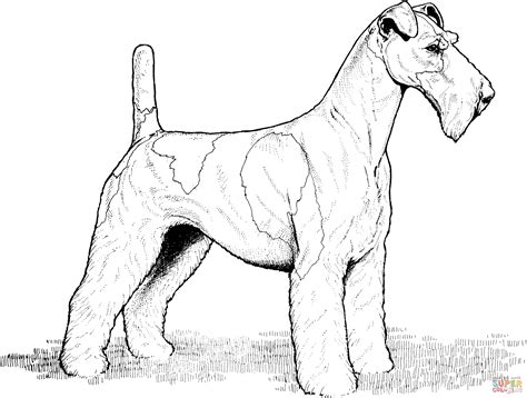 realistic dog coloring pages pictures  coloring page