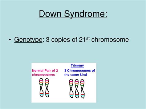 ppt genetic disorders autosomal and sex linked traits