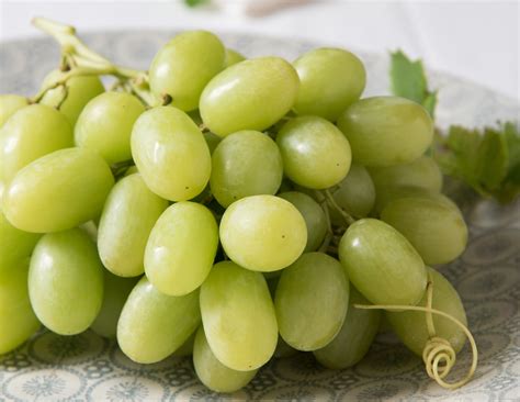 california table grapes set shipment record brothers produce