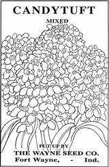 Flower Seed Packets Coloring Vintage Pages Doverpublications Choose Board Samples sketch template