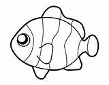 Coloring Clownfish Coloringcrew sketch template