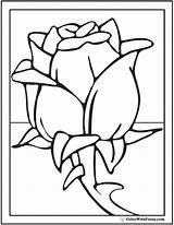 Rose Coloring Preschool Pages Printable Pdf Long Stem Colorwithfuzzy Printables sketch template