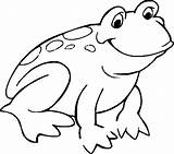 Lily Pad Frog Coloring Frogs Clipartmag Drawing sketch template