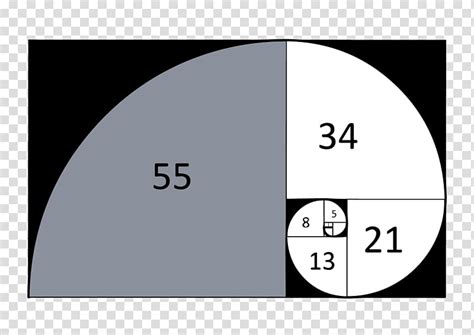 Fibonacci Number Golden Ratio Sequence Spiral Mathematics Mathematics