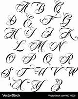 Calligraphy Alphabet Vector Royalty Vectors sketch template