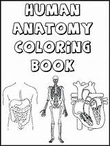 Coloring Pages Getdrawings Anatomical Anatomy sketch template