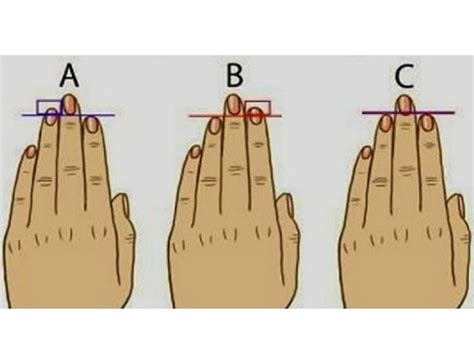 This Finger Length Test Tells You About Your Personality