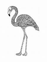 Pages Coloring Flamingo Zentangle Adult Adults Mycoloring sketch template