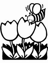 Coloring Spring Pages Flowers Clipart Tulips Printable Springtime Bee Clip Cartoon Kids Colouring Breaks Cliparts Sheets Color Easy Time Simple sketch template