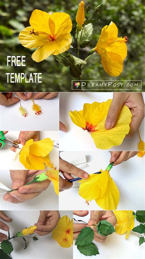 hibiscus paper flower   templates easy  follow