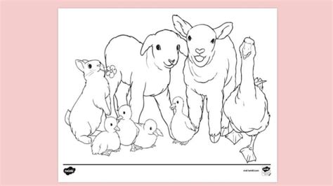 spring season colouring colouring sheets twinkl