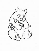 Panda Coloring Pages Baby Bear Cute Kids Cartoon Printable Drawing Color Childrens Line Print Coloringpagesfortoddlers Step Getcolorings Getdrawings Simple Disney sketch template